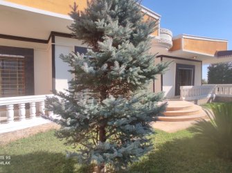Havaalanı Yanında Satılık Tek katlı Villa